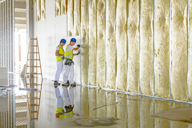 Range of Insulation Solutions in Nellieburg, MS